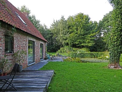 Water lilies terrace old trees photo