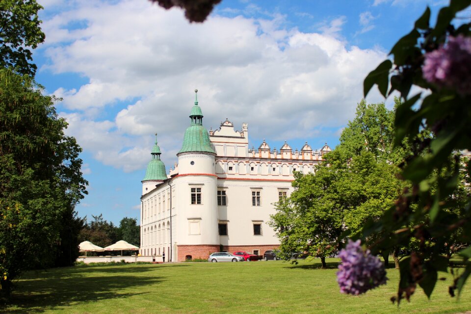 The palace castle architecture