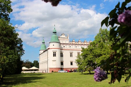 The palace castle architecture