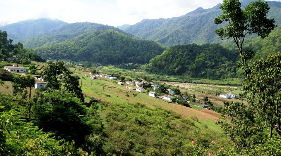 Jungle green agricultural land
