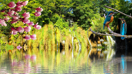 Nature waters river
