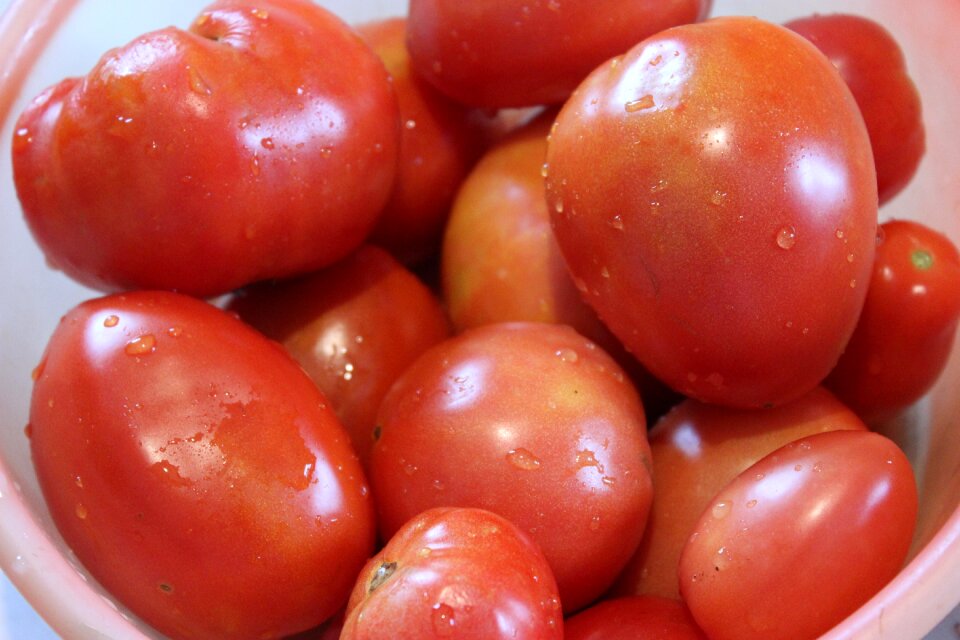 Tomatoes red Free photos