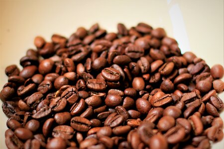 Coffee bean coffee beans roasted photo