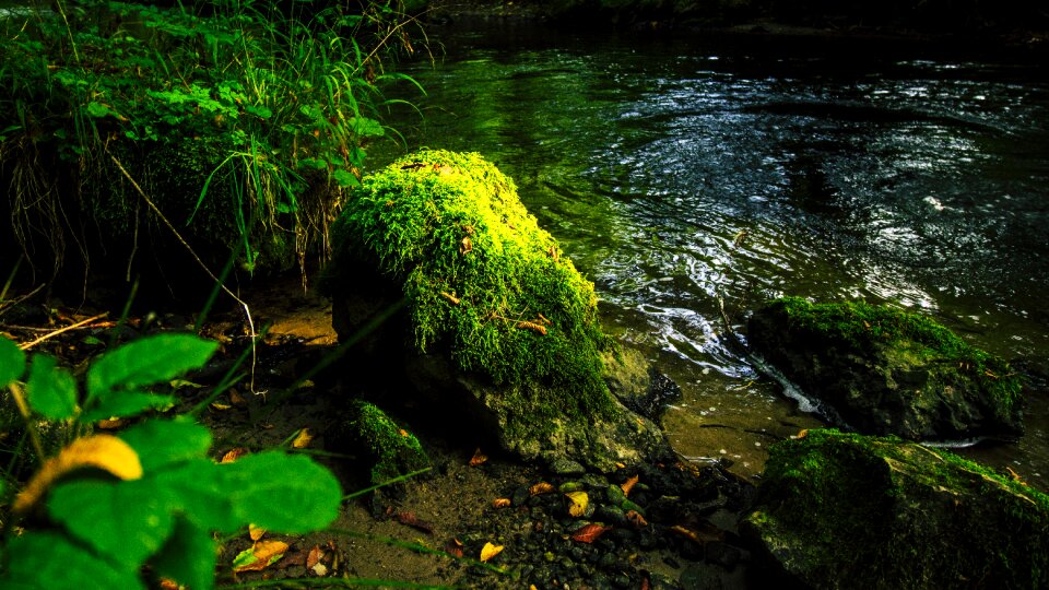 Seefeld moss stone stone