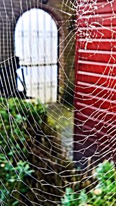 Web woven silk photo