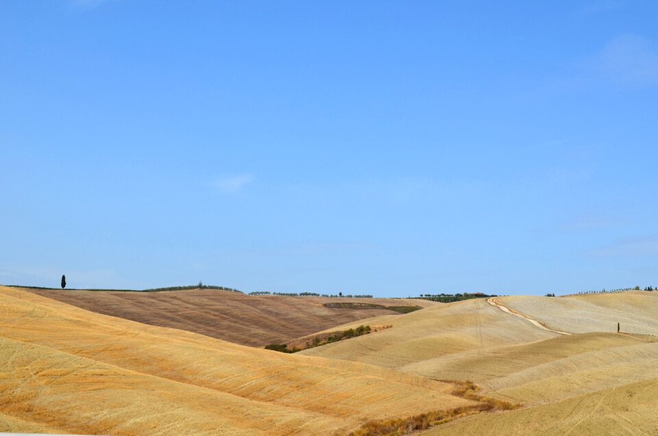 Nature summer landscape