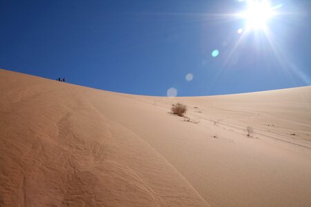 Namibia sand nature
