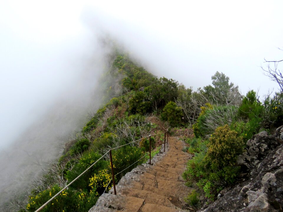 The path way stone stairs