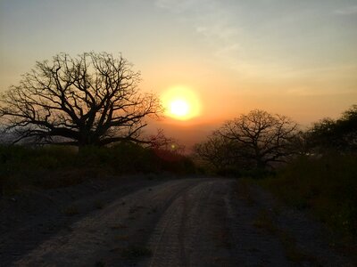 Mountain bike nature