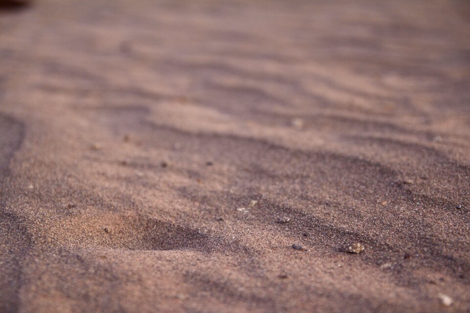 Landscape sand dunes