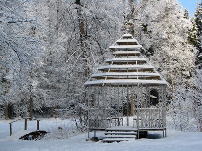 Walking winter forest snow photo