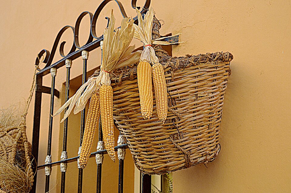 Dried corn rustic crafts