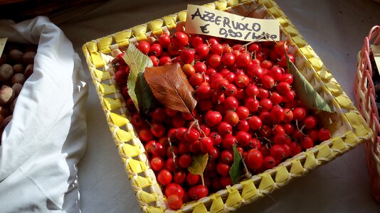 Basket eat autumn