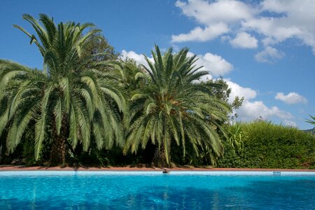 Holidays paradise summer