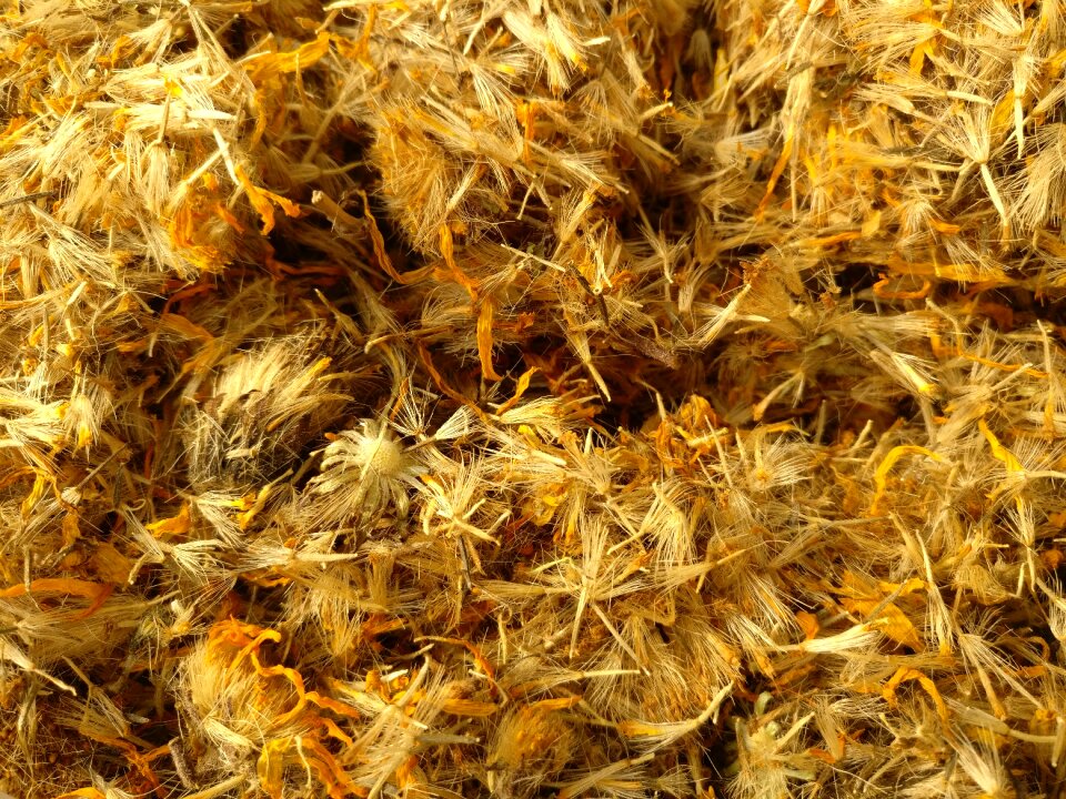 Dried herb phytotherapy