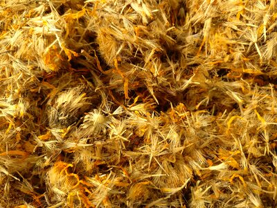Dried herb phytotherapy