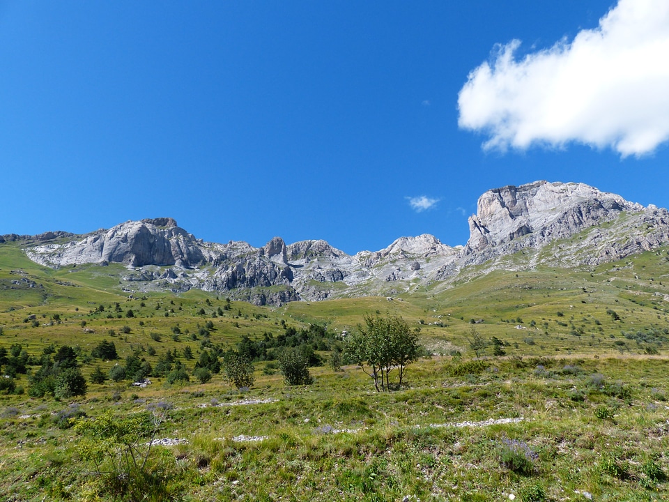 Il cimonasso cimonasso cima delle colme