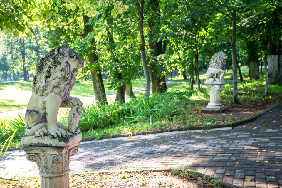 Park summer homestead