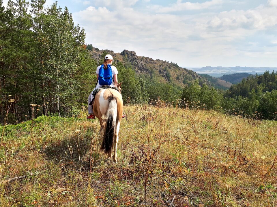 Horse nature vacation