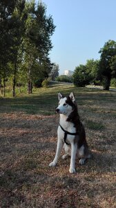 Sofia lake friendship