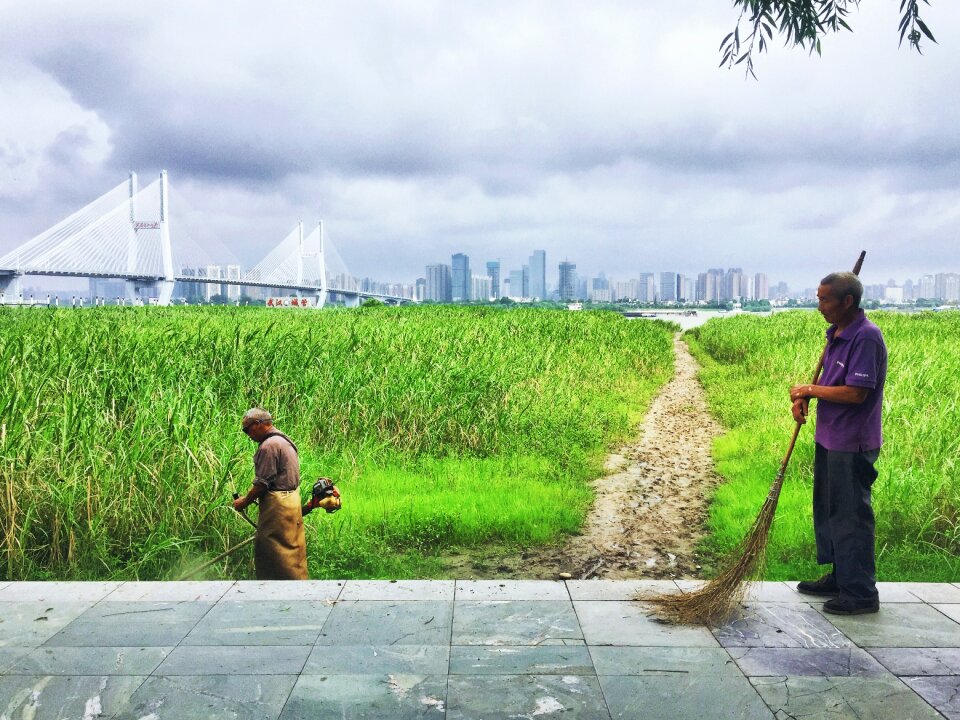 Cleaners weeding the yangtze river