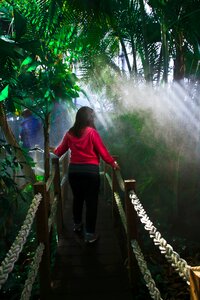 Girl bridge light