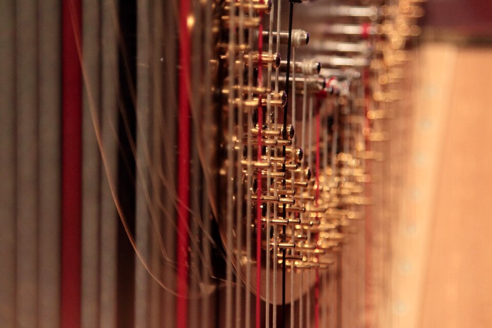 Close up concert artistic