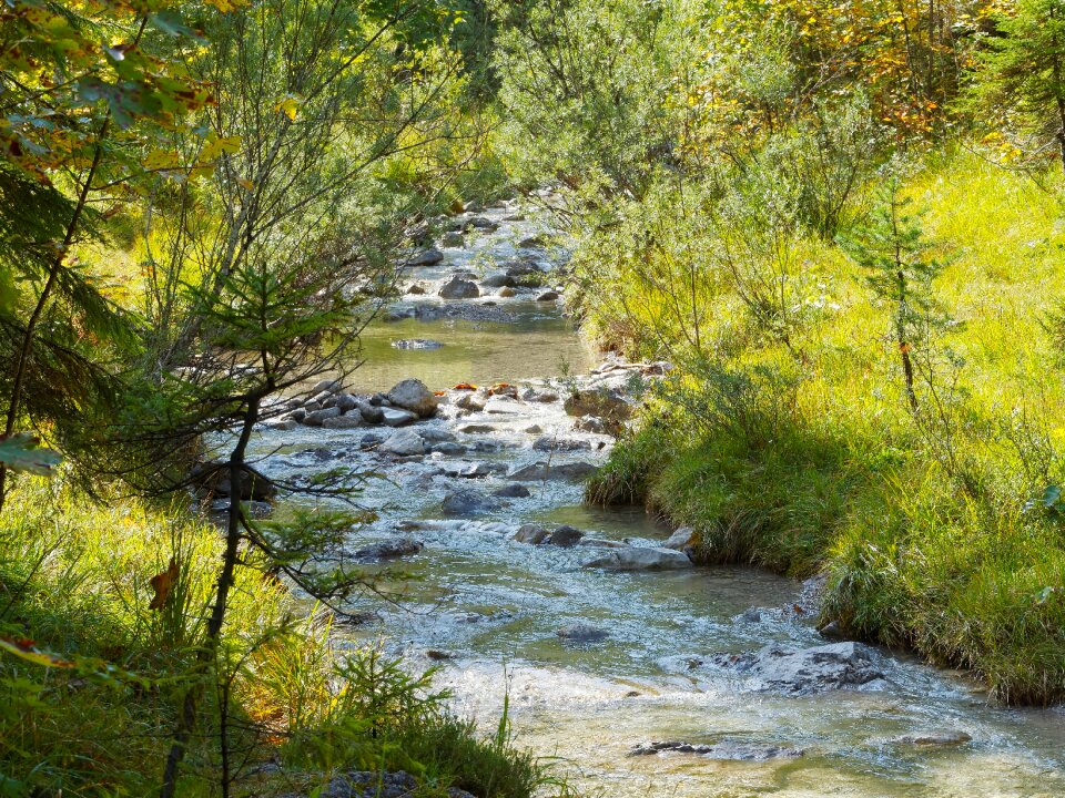 Cascade waterfall nature photo