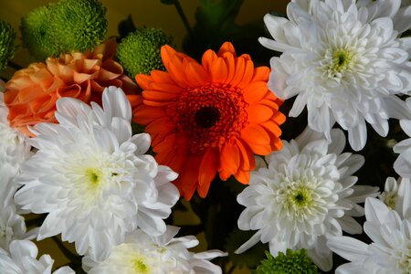 Composition floral white flowers orange flower offer decoration photo