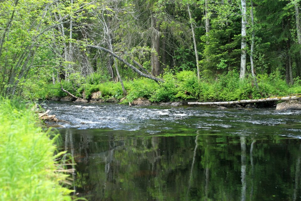 Fors mirroring landscapes