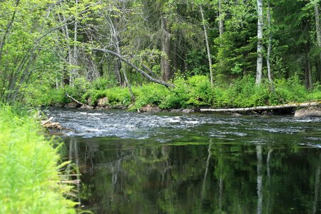 Fors mirroring landscapes
