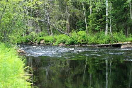 Fors mirroring landscapes photo