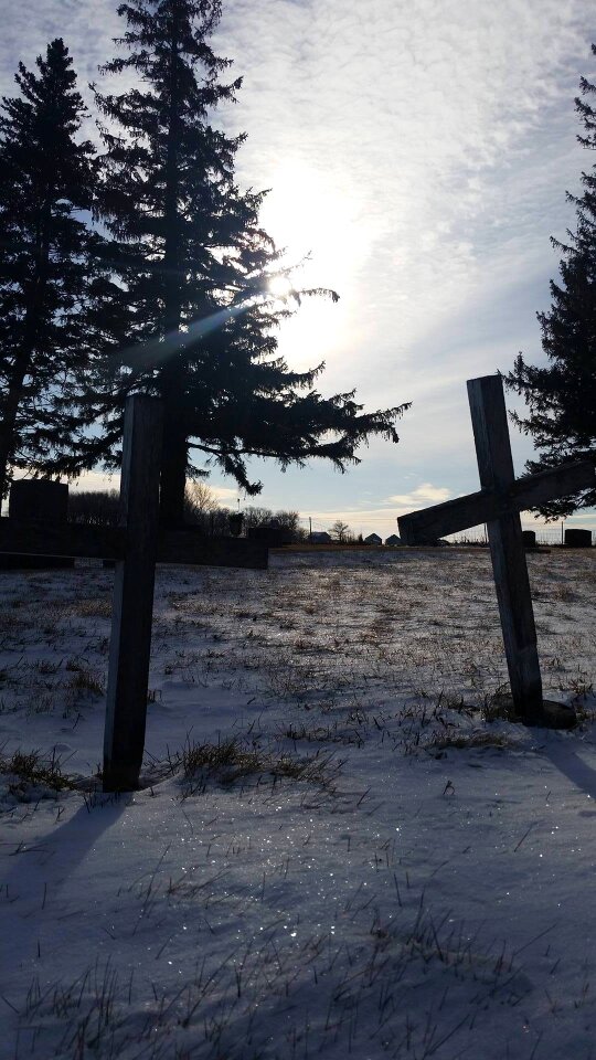Snow graves