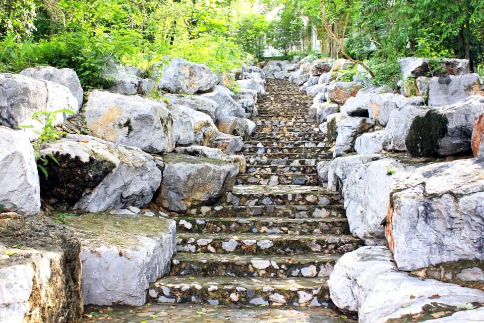 Summer step green