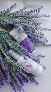 Women cosmetics lavender photo