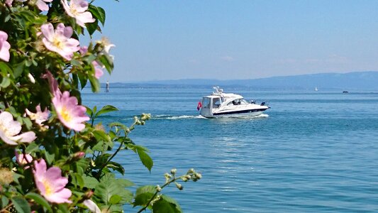 Boat relax sunny photo