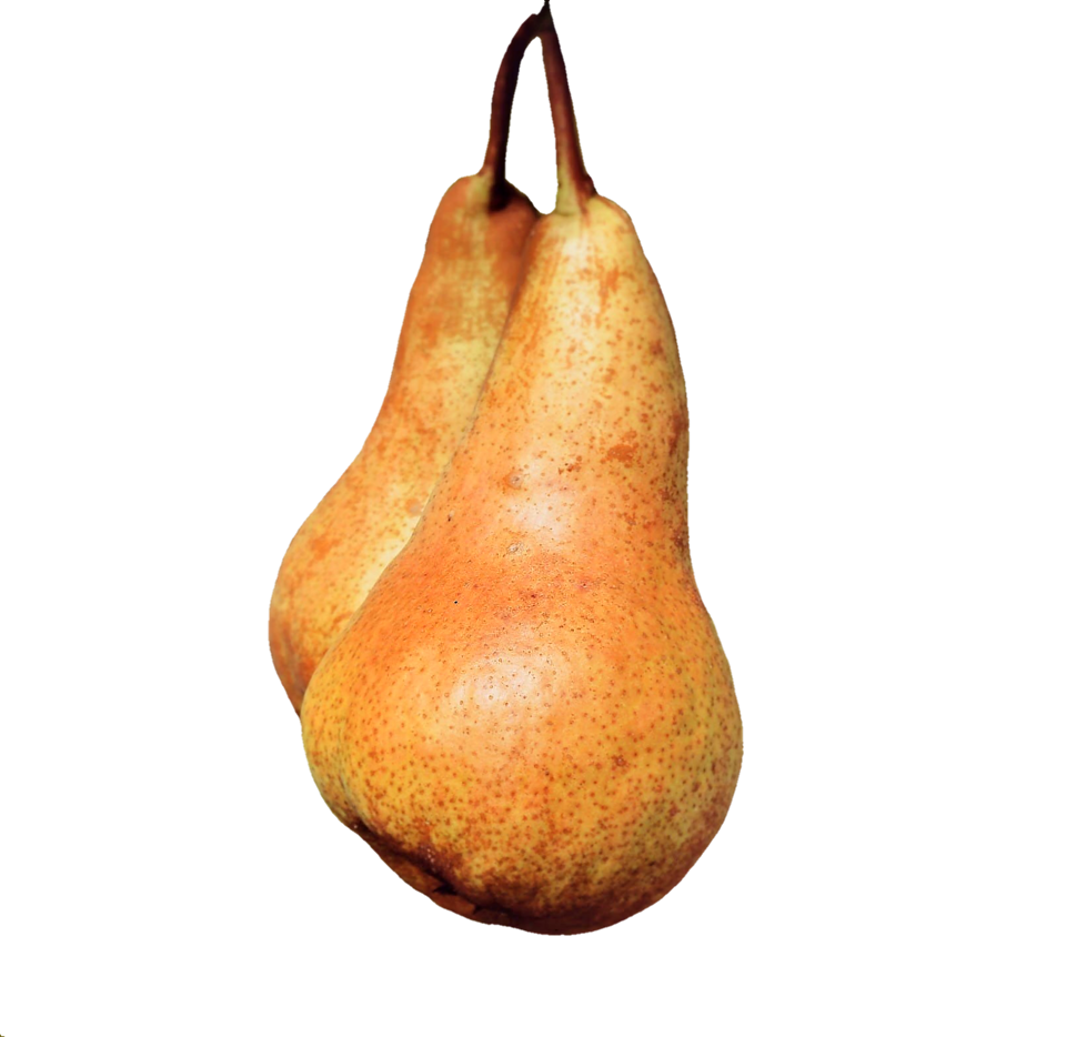 Healthy harvest ripe