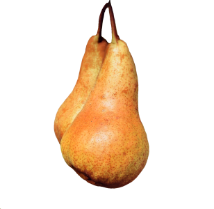 Healthy harvest ripe