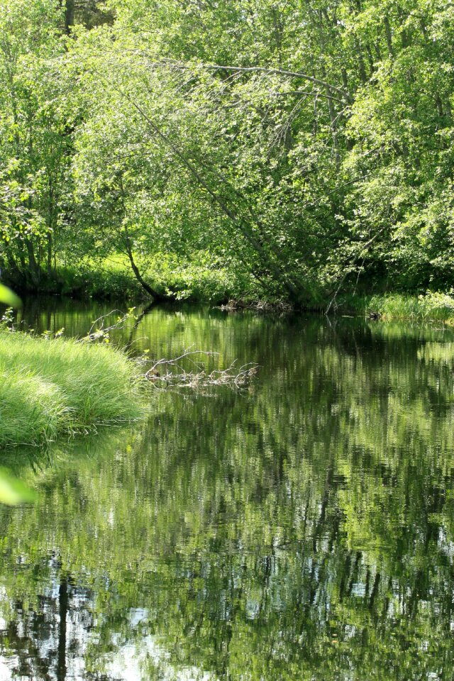 Fors mirroring landscapes