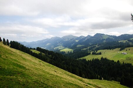 High ridge allgäu meadow