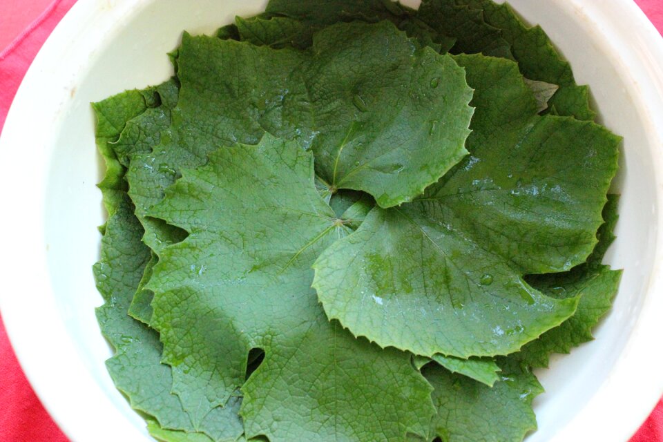 Stuffed dolma cuisine