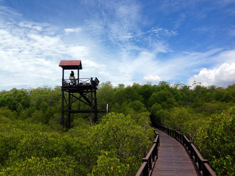 Outdoor travel walk