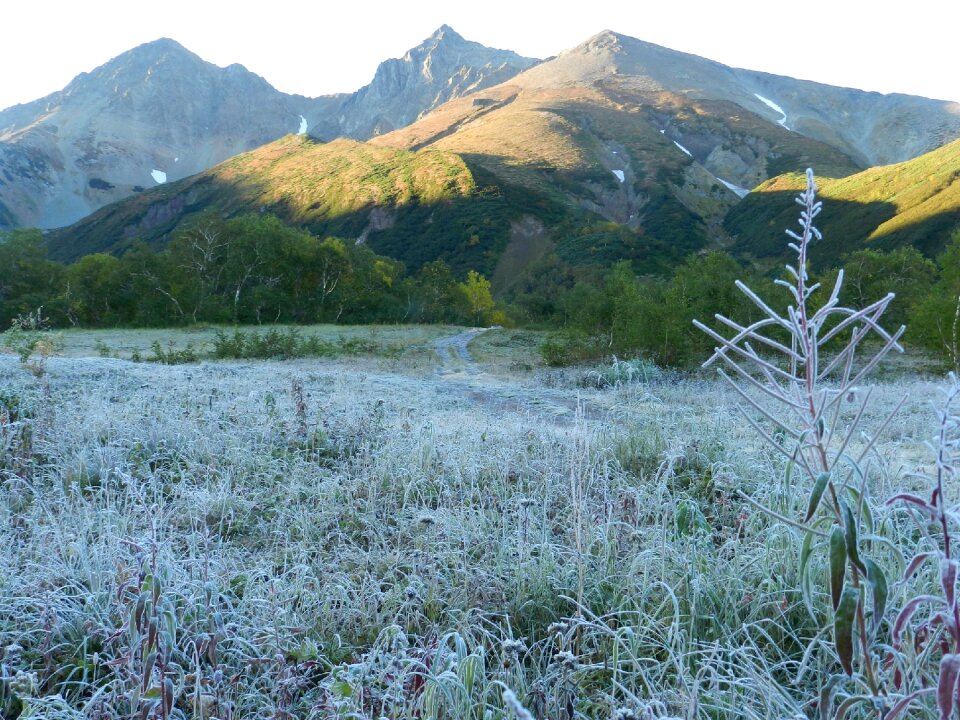 Cold frost early morning