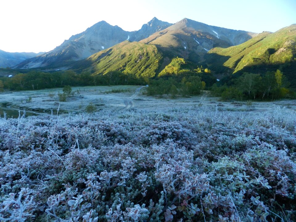 Cold frost early morning