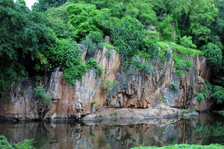 Natural green landscape photo