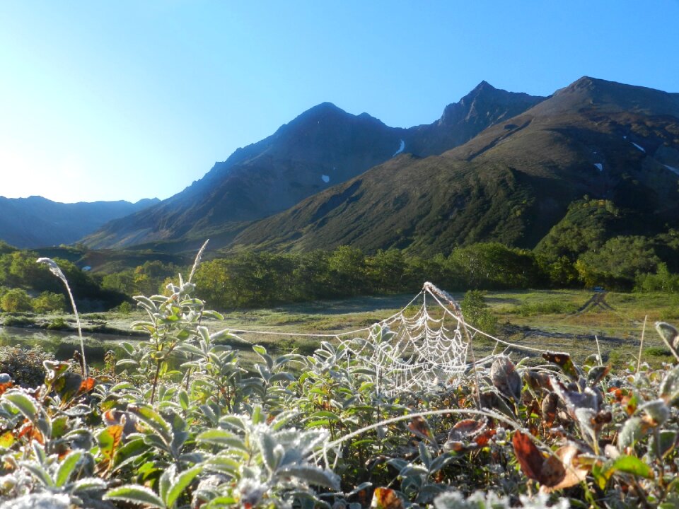 Indian summer cold frost