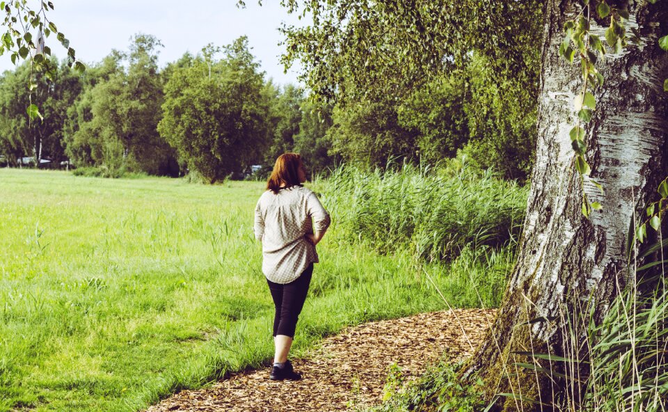 Away landscape recovery