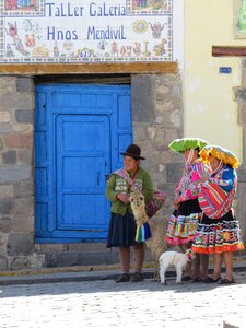 Animals costume peruvian