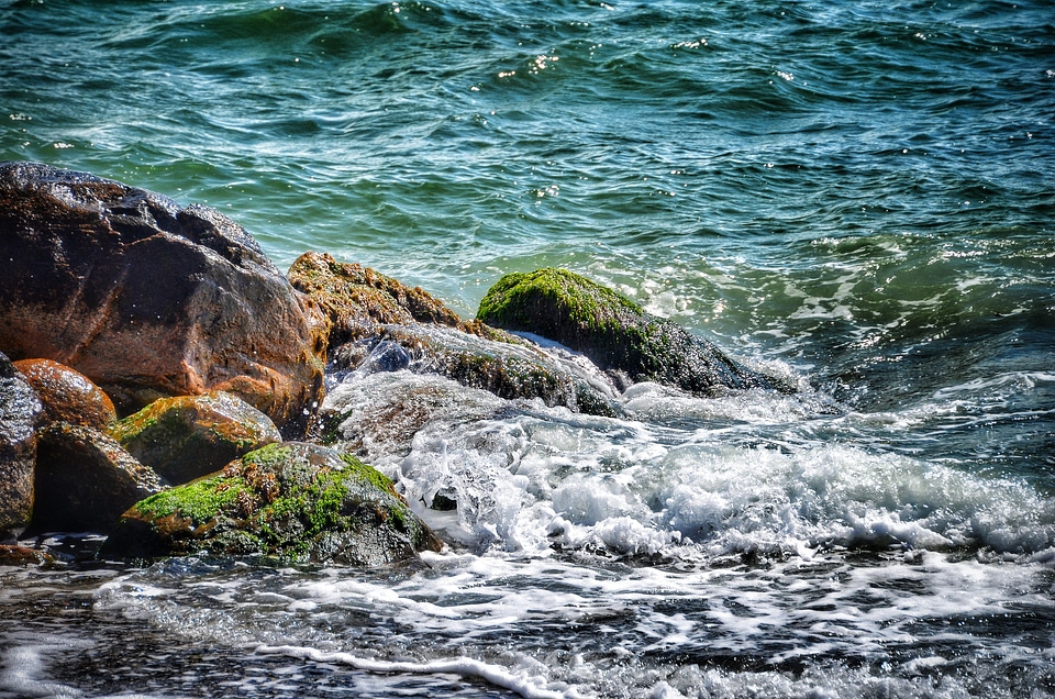 Lake rock coast