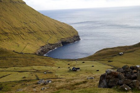 Remote wilderness landscape streamy